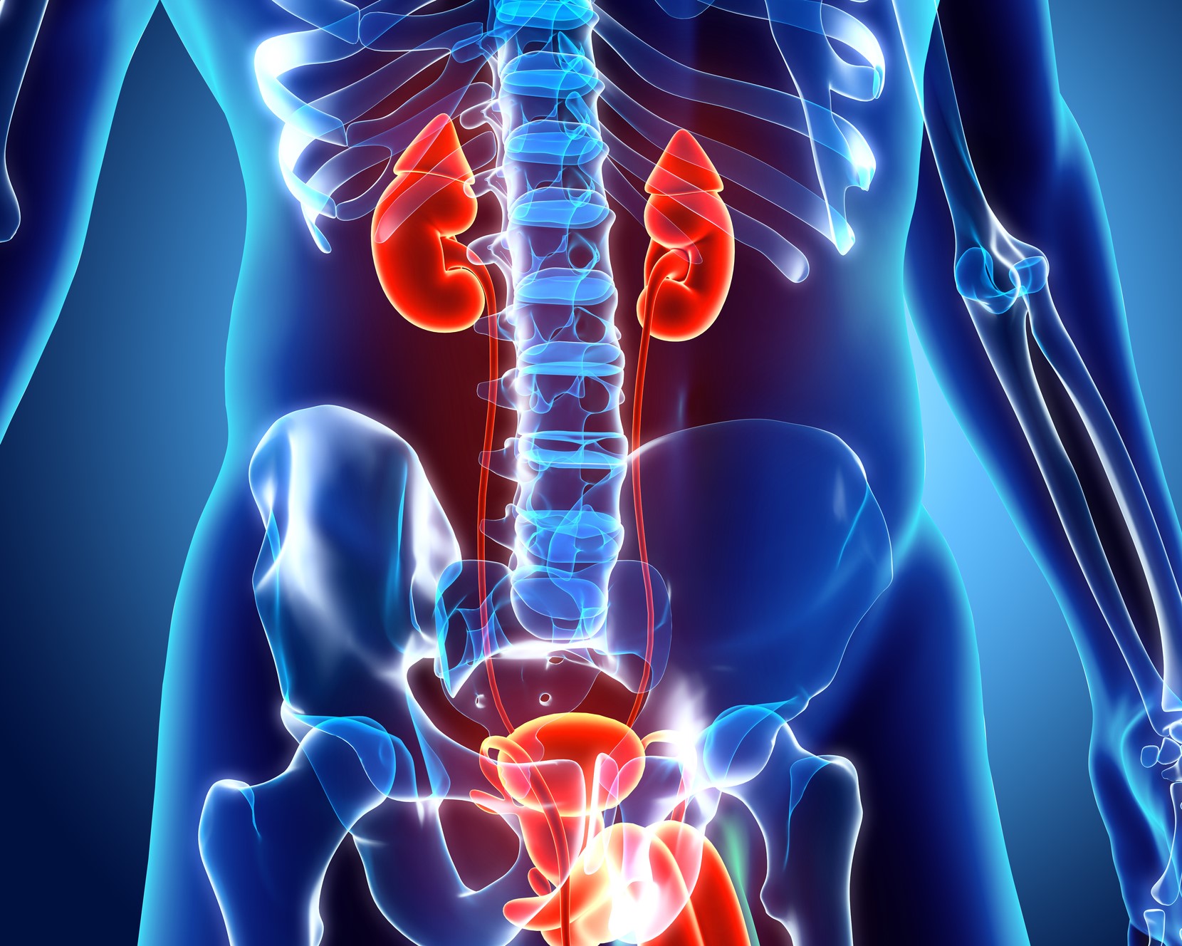Urology